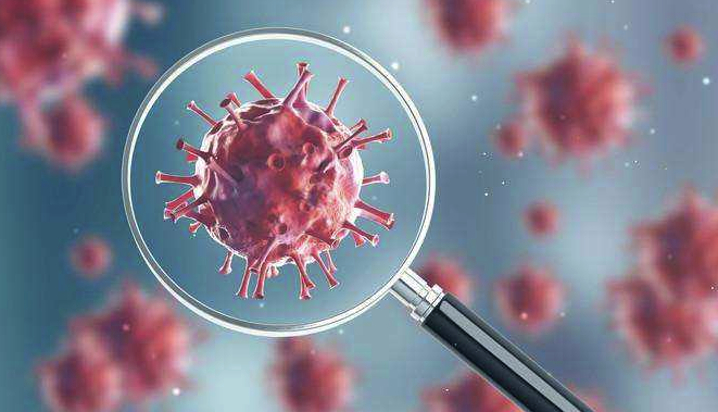 2020年疫情來了，企業(yè)應(yīng)重視網(wǎng)站建設(shè)工作