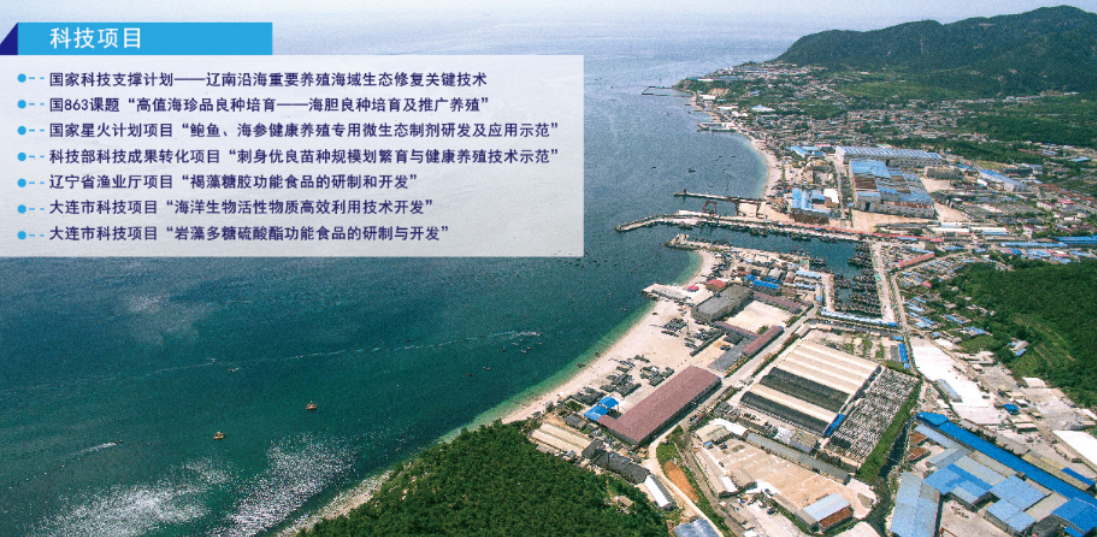 韓偉集團(tuán)科技項(xiàng)目